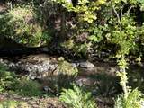420 Price Creek Road - Photo 52