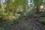 420 Price Creek Road - Photo 55