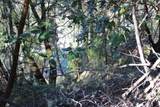  Fenders Ferry Road - Photo 2