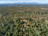 16485 Bo Lane - Photo 39