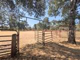 18585 & 18587 Alice Court - Photo 85
