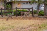 19774 Antler Way - Photo 42