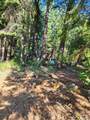 Lot 61 Starlite Pines Road - Photo 10