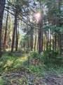 Lot 61 Starlite Pines Road - Photo 2