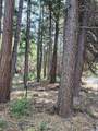 Lot 61 Starlite Pines Road - Photo 3