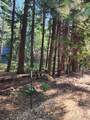 Lot 61 Starlite Pines Road - Photo 4