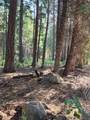 Lot 61 Starlite Pines Road - Photo 5