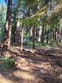 Lot 61 Starlite Pines Road - Photo 6