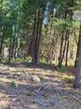 Lot 61 Starlite Pines Road - Photo 8