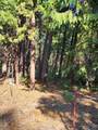 Lot 61 Starlite Pines Road - Photo 9
