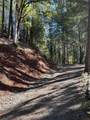 30 Bear Canyon Road - Photo 54