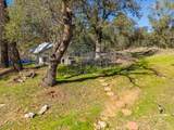 13160 Bear Mountain Road - Photo 9