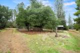16578 Blue Horse Road - Photo 30