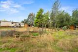 16578 Blue Horse Road - Photo 35