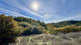  20 Acres Jones Valley - Photo 14