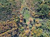  20 Acres Jones Valley - Photo 18