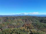  20 Acres Jones Valley - Photo 20