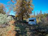  20 Acres Jones Valley - Photo 23