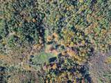  20 Acres Jones Valley - Photo 27