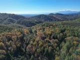  20 Acres Jones Valley - Photo 29