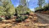 20 Acres Jones Valley - Photo 3