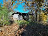  20 Acres Jones Valley - Photo 31