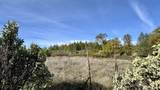  20 Acres Jones Valley - Photo 6