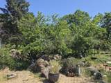 21775 Manton School Road - Photo 87