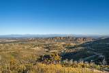  Mule Mountain Parkway - Photo 28