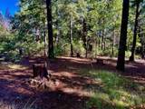 33250 Plateau Pines Road - Photo 26