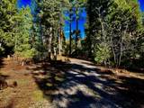33250 Plateau Pines Road - Photo 28