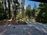 33250 Plateau Pines Road - Photo 30
