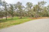  El Camino Robles Road - Photo 4