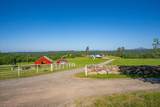 26602 Snider Ranch Road - Photo 12