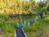 15399 Star Flower Road - Photo 34
