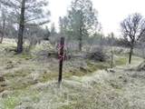 41 acres Ash Creek Road - Photo 21