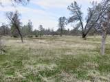 41 acres Ash Creek Road - Photo 3