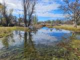 41 acres Ash Creek Road - Photo 5