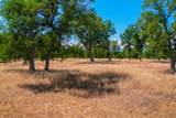 10096 Rocking Horse Lane - Photo 16