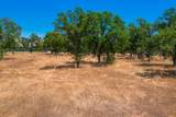 10096 Rocking Horse Lane - Photo 9