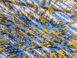  Big Springs Boulevard - Photo 7