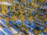  Big Springs Boulevard - Photo 8