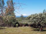 28216 Whippoorwill Circle - Photo 66