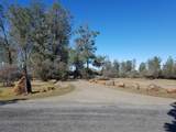 28216 Whippoorwill Circle - Photo 74