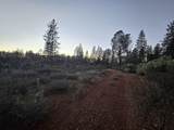  Donkey Mine Road - Photo 14