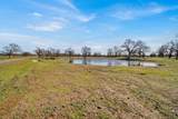 322 ACRES Kinglsland Way - Photo 20
