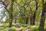  Churn Creek Road - Photo 35