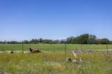  Churn Creek Road - Photo 39