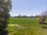  Churn Creek Road - Photo 43