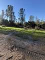 17296 Billy Jack Lane - Photo 12